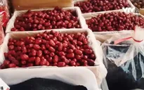 Nhiều người kinh doanh thuốc bắc phản ứng gay gắt trước thông tin rác dược liệu