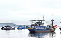 Ngư dân Quảng Ngãi nói không với đánh bắt hải sản trái phép