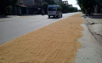 Mất an toàn giao thông vì hàng hóa phơi tràn lan trên Quốc lộ