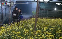"Hoa cúc vàng trong bão" nối sóng "Cung đường tội lỗi" từ 5/1 trên VTV3