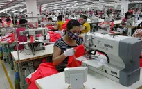 PMI Việt Nam chốt năm 2018 tiếp tục dẫn đầu ASEAN