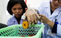 Thành lập Hội Vật lý trị liệu Việt Nam