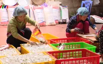 Làng sản xuất bánh kẹo truyền thống Cổ Hoàng tất bật dịp Tết đến