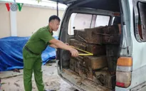 Quảng Nam: Bắt xe tải gắn biển số giả chở 10 phách gỗ lậu