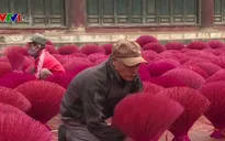 Làng hương Quảng Phú Cầu hối hả những ngày giáp Tết