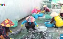 Các làng nghề ở Cà Mau tấp nập chuẩn bị Tết