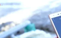 Đẩy mạnh nền nông nghiệp thông minh gắn với phát triển bền vững