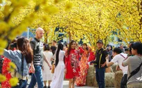 Phố ông đồ rộn ràng vào xuân