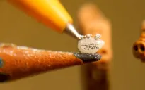 Tác phẩm chạm khắc siêu nhỏ chào năm mới Kỷ Hợi