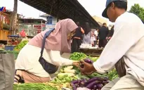Cô gái đi tiên phong trong lối sống không rác thải tại Indonesia