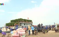 Rộn ràng đưa hàng Tết ra đảo Lý Sơn