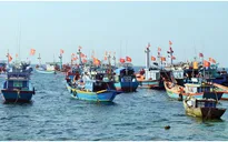 Đà Nẵng hỗ trợ ngư dân khai thác hải sản xa bờ