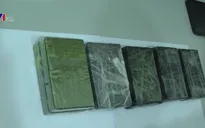Bắt vụ mua bán trái phép 10 bánh heroin