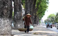 Toàn miền Trung tạnh ráo, trưa chiều có nắng