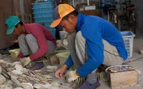 Kiểm tra kỹ năng lao động nước ngoài tới Nhật Bản