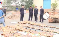 Thu giữ lượng lớn vảy tê tê và ngà voi nhập lậu