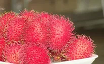Xuất khẩu chính ngạch - Cơ hội cho trái cây Việt