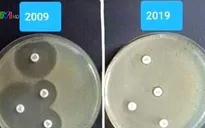 "Thử thách 10 năm" thể hiện vi khuẩn kháng thuốc tăng