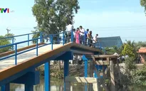 Cận cảnh cây cầu ở Tiền Giang được xây từ 1 tấn nắp bia