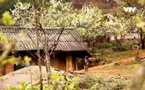 Vẻ đẹp Tây Bắc mùa xuân về