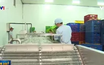 CPTPP có hiệu lực: Dòng vốn FDI vào nông nghiệp Việt có cơ hội khơi thông