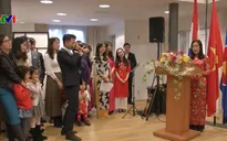 Đại sứ quán Việt Nam tại Hà Lan đón Xuân Kỷ Hợi