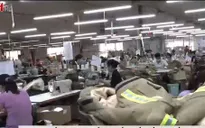 Ban hành quy tắc xuất xứ hàng hóa trong CPTPP