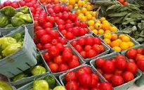 Hàn Quốc kiểm soát chặt nông sản nhập khẩu