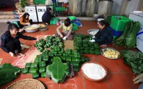 Làng bánh chưng Tranh Khúc vào vụ Tết