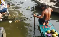 Dùng điện đánh bắt cá chép phóng sinh trong ngày tiễn ông Táo