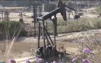Thị trường dầu bị ảnh hưởng từ lệnh trừng phạt của Mỹ lên Venezuela
