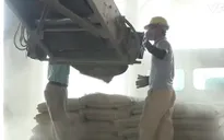 Philippines áp dụng biện pháp tự vệ tạm thời với xi măng Việt Nam