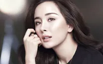 Sống chung nhà nhưng Dương Mịch và Lưu Khải Uy độc lập về tài chính
