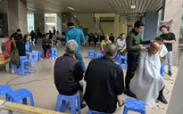 300 người bệnh ung thư được cắt tóc miễn phí