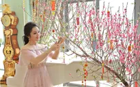 Ca sĩ Tân Nhàn khoe căn hộ sang trọng ngập tràn không khí Tết