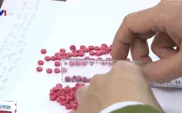 Triệt phá đường dây ma túy, thu giữ hơn 50.000 viên ma túy tổng hợp
