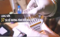 Lạng Sơn: 37 lái xe dương tính với ma túy sau khi tự đi khám