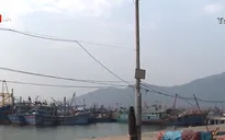 Đà Nẵng dành hơn 100 tỷ đồng hỗ trợ ngư dân