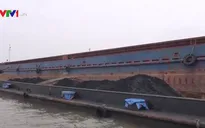 Bắt giữ 700 tấn than không rõ nguồn gốc trên biển Quảng Ninh