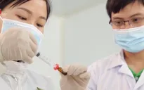 Sản xuất thuốc thú y bắt buộc đạt chuẩn GMP