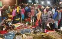 Buổi sáng nhộn nhịp ở cảng cá Thuận An