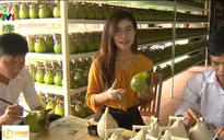 Tinh hoa của làng bưởi Tân Triều