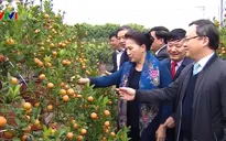 Chủ tịch Quốc hội Nguyễn Thị Kim Ngân thăm xã nông thôn mới ở Hưng Yên