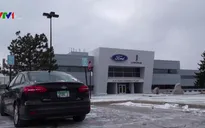 Ford thu hồi gần 1 triệu xe lỗi túi khí