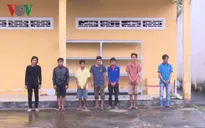 Bắt băng nhóm chuyên trộm cắp cây cảnh