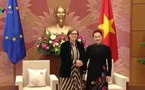 “Nghị viện châu Âu là trụ cột quan trọng trong quan hệ hợp tác toàn diện Việt Nam - EU”