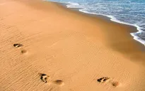 Cảnh báo thế giới sắp cạn kiệt cát
