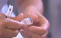 Không có việc dừng tiêm vaccine 5 trong 1