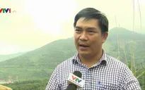 Vụ tai nạn trên đèo Hải Vân qua lời kể nhân chứng
