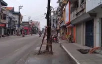 Lạ lùng hàng trăm cây xanh được trồng giữa lòng đường